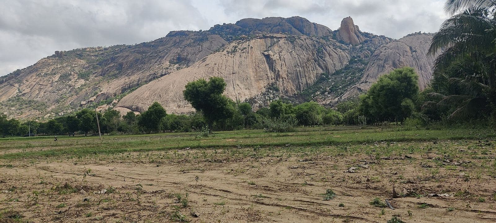 Village Development